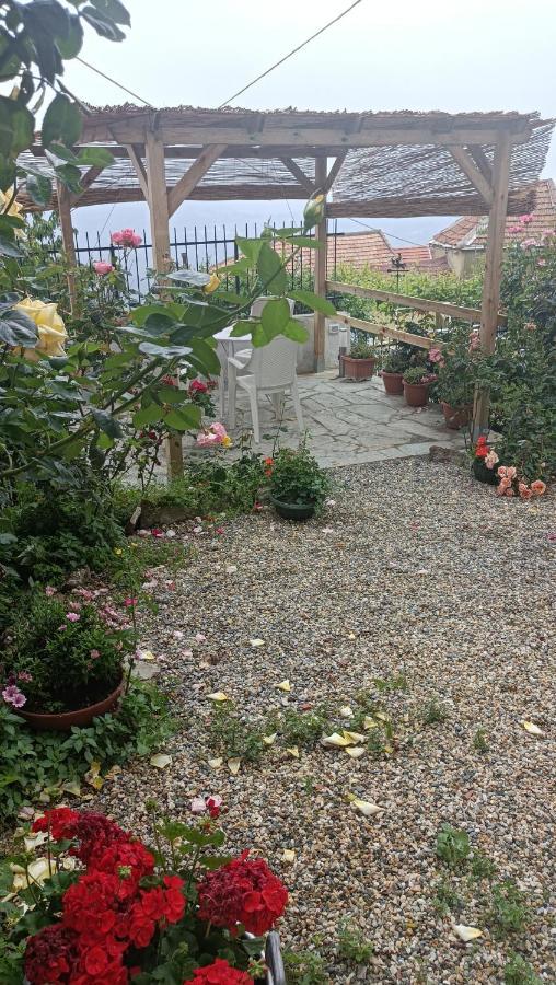 Casetta Della Fontana